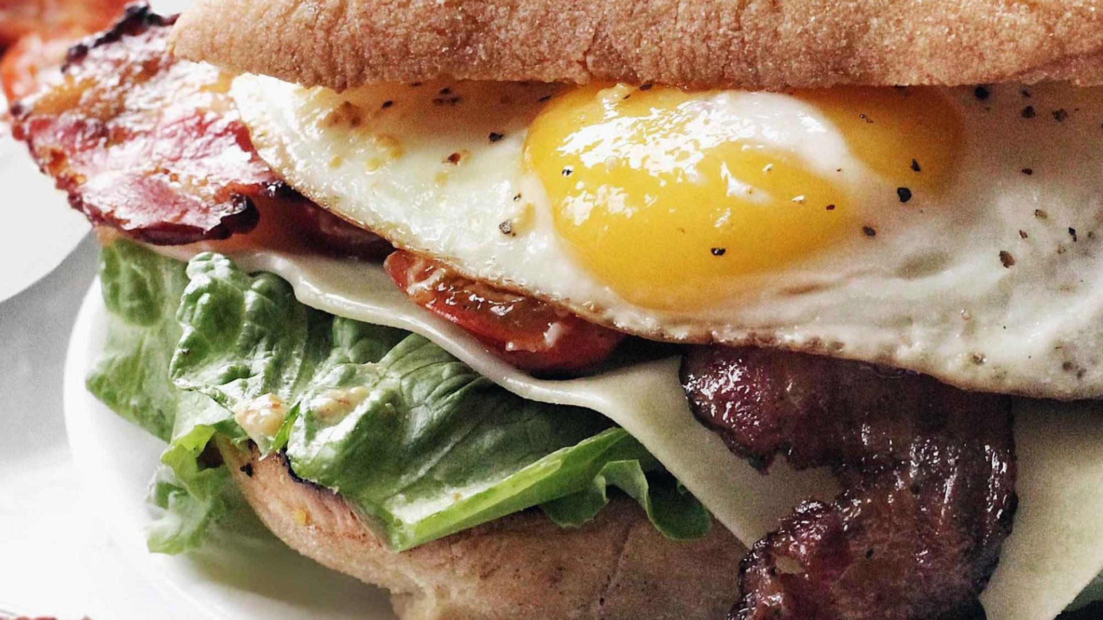baconsandwichbltversionbg.jpg