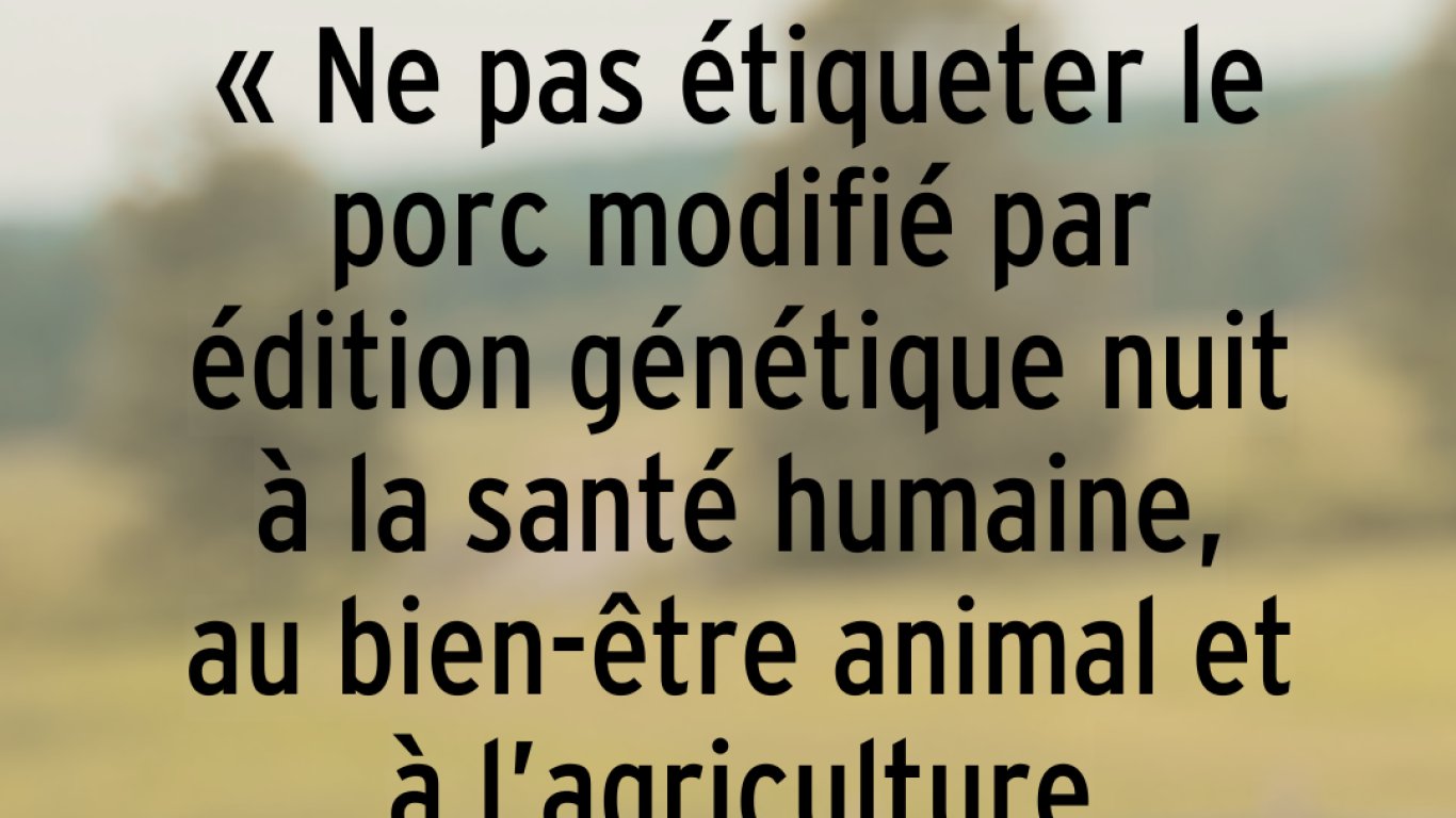 « Ne pas étiqueter le porc modifié par édition génétique nuit à la santé humaine, au bien-être animal et à l’agriculture durable. »