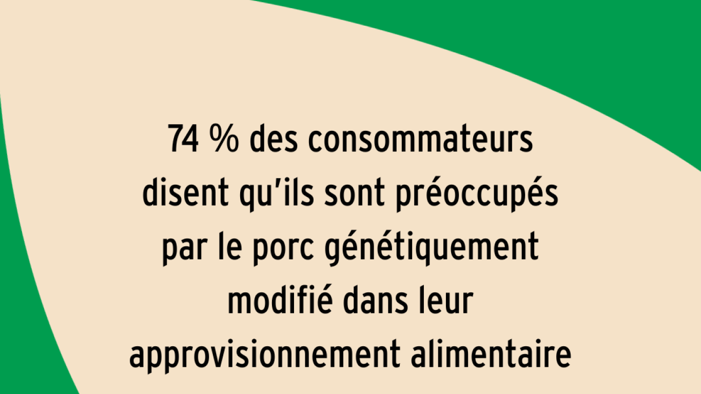 74 % des consommateurs disent qu’ils sont préoccupés par le porc génétiquement modifié dans leur approvisionnement alimentaire