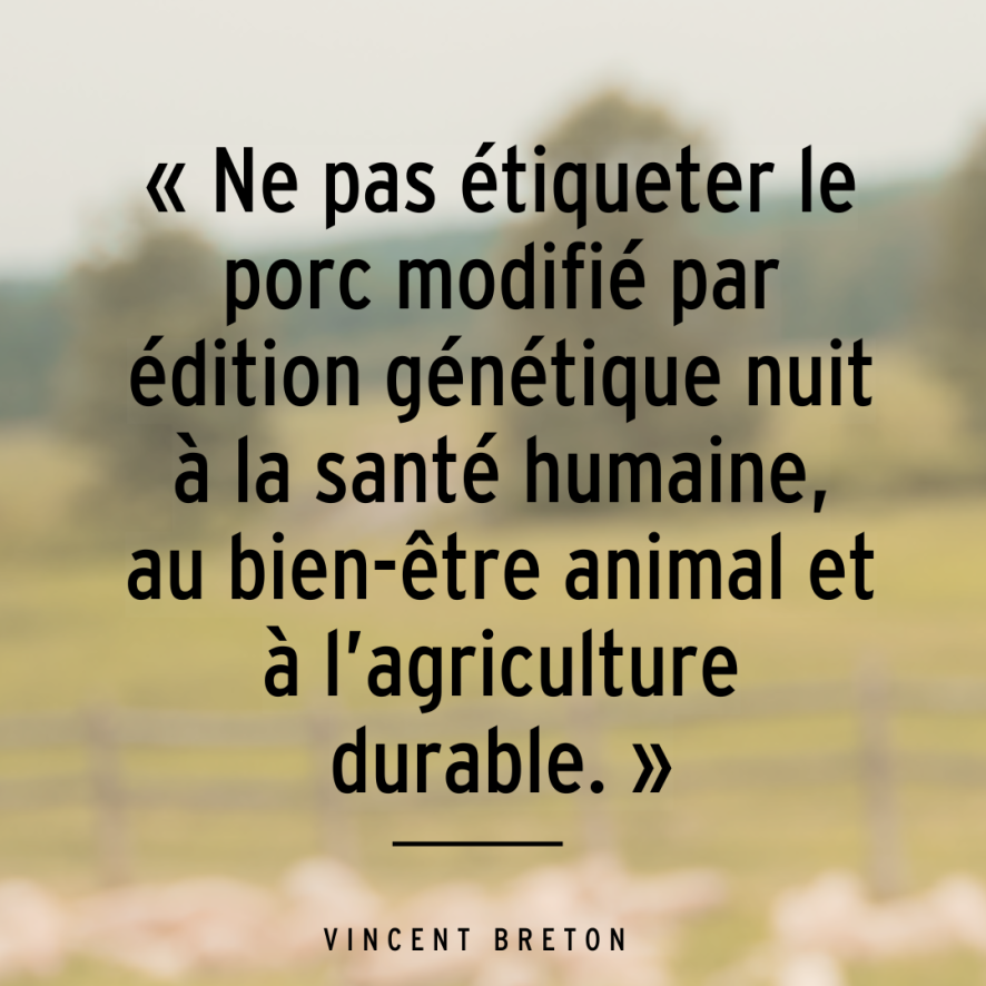 « Ne pas étiqueter le porc modifié par édition génétique nuit à la santé humaine, au bien-être animal et à l’agriculture durable. »