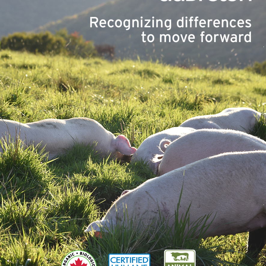 Reconnaitre la différence