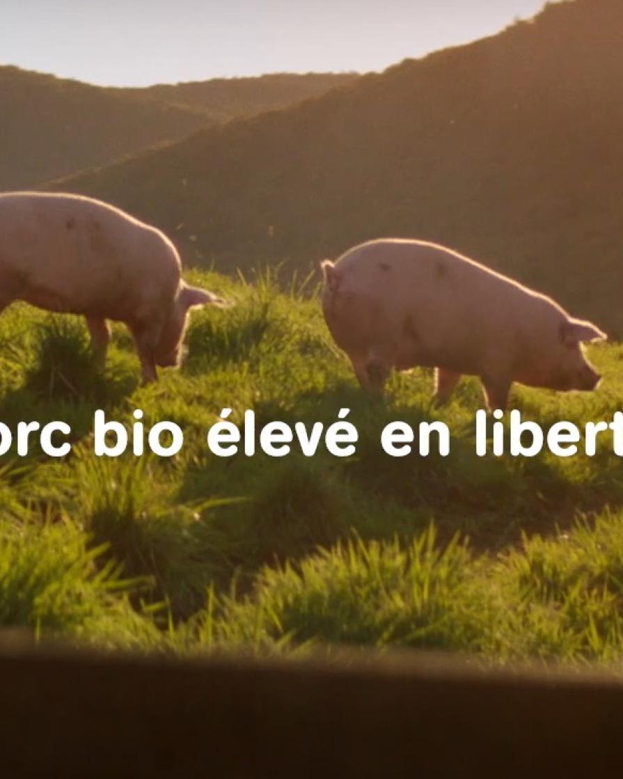Campagne télé