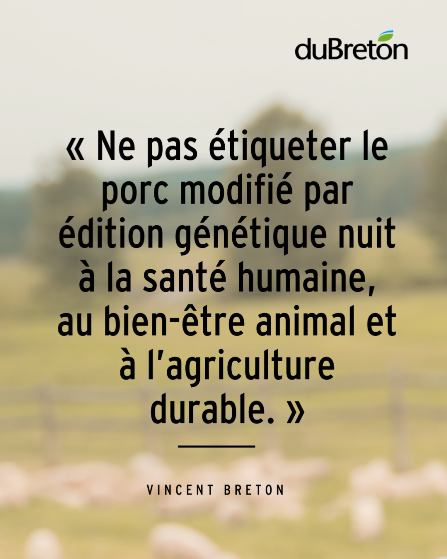 « Ne pas étiqueter le porc modifié par édition génétique nuit à la santé humaine, au bien-être animal et à l’agriculture durable. »